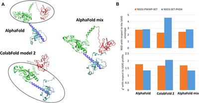 Frontiers | Structural Insights Into The C-terminus Of The Histone ...